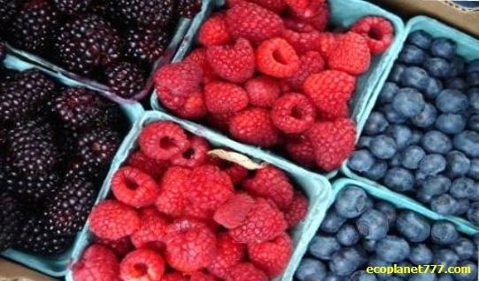 Фрукты и ягоды полезные для нашего здоровья