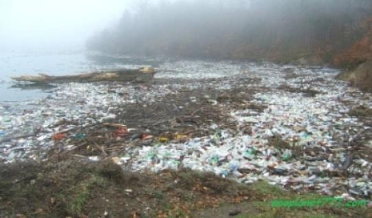 Пластиковые бутылки загрязняют мировой океан