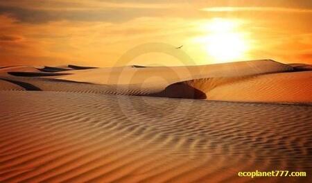 Пустыня Сахара увеличивается