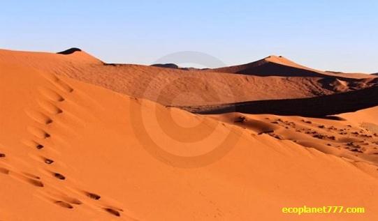Пустыня Северной Африки увеличилась на 10%