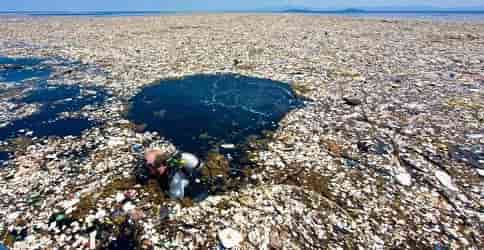 Вред отходов для морской жизни