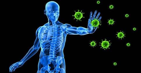Как наш иммунитет нас защищает