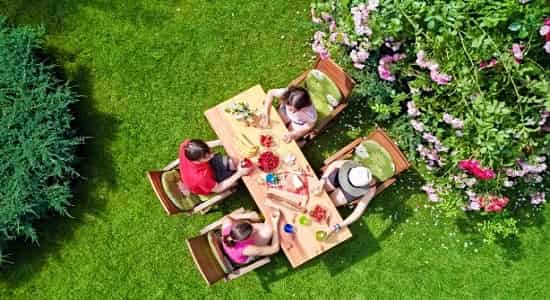 Отдыхь с друзьями на зеленой крыше