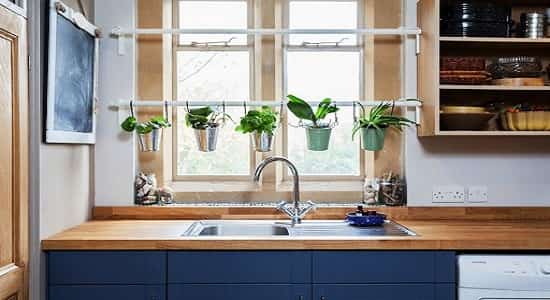 Живые растения на кухне