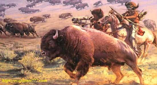 Исторические факты о мировой популяции бизонов