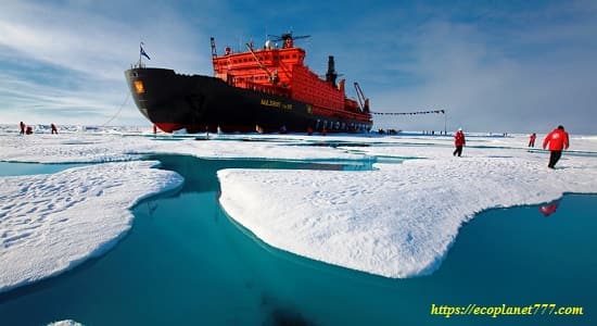 Экология Северного Ледовитого океана