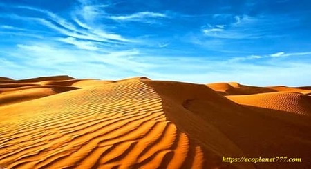 Пустыня - окружающий мир