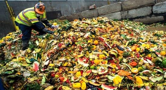Вред пищевых отходов для экологии