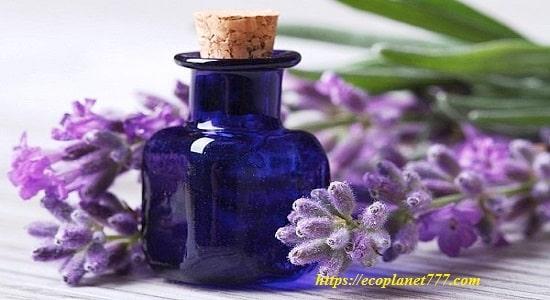 Do-it-yourself perfumes