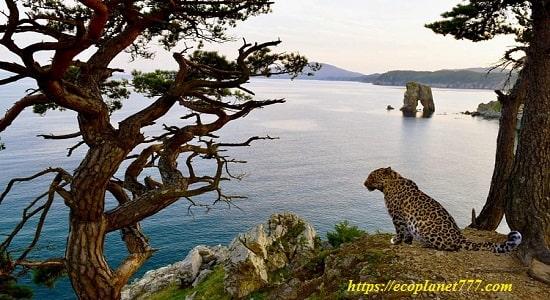 National Park "Land of the Leopard"
