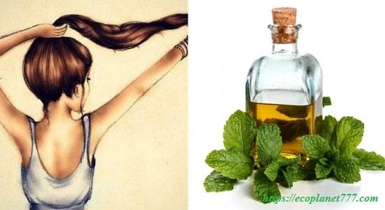 mint oil for hair