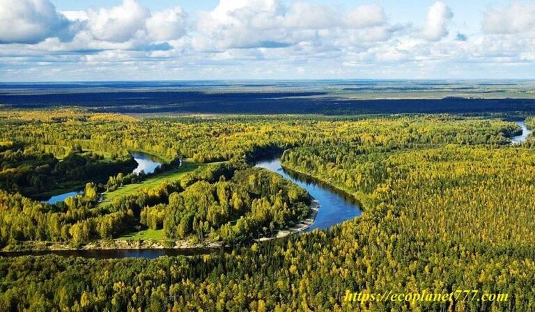 Западно - сибирская равнина