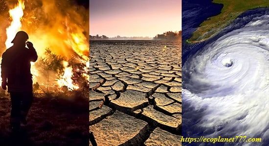 Наслідки глобальної зміни клімату
