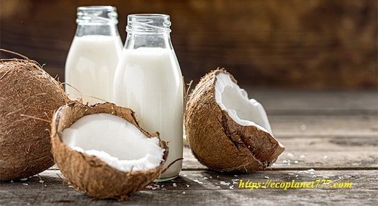 Польза кокосового молока для здоровья