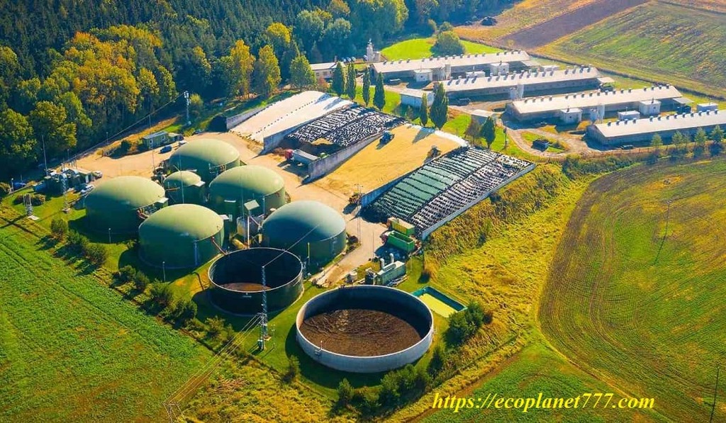 Energía de biomasa