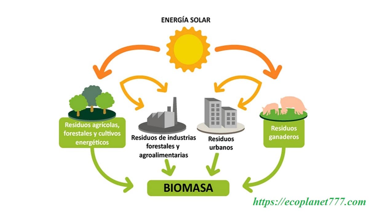 Energía de biomasa ejemplos