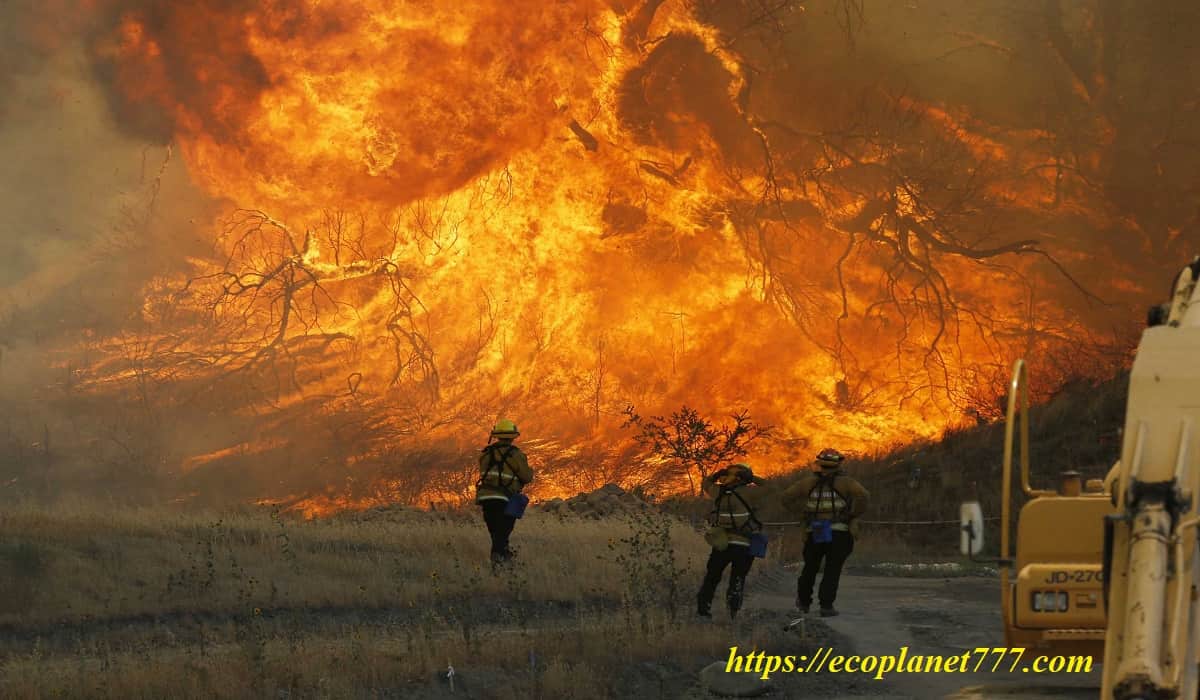 Методы профилактики лесных и торфяных пожаров