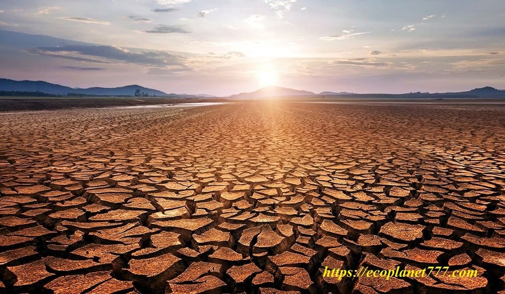 Засуха – природное явление