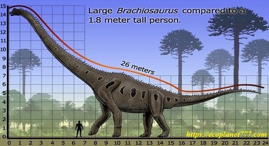 Описание брахиозавра