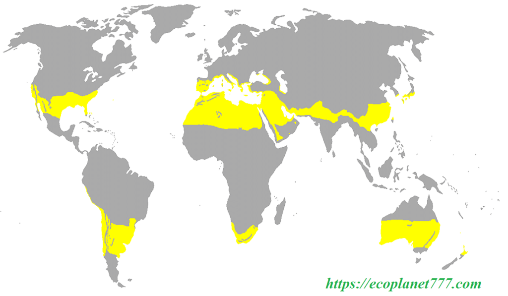 Тропики и субтропики