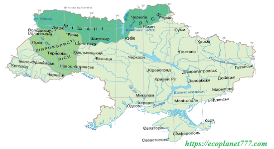 Мішані ліси України