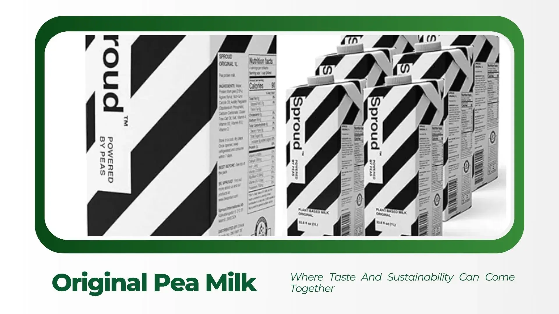 Elección Innovadora: Sproud Milk - Tu Bebida Vegetal Ideal